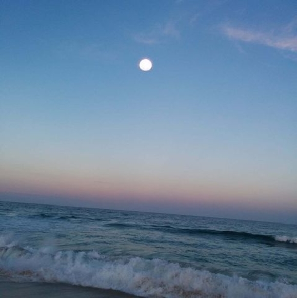 Meet your Posher, Doreen - Picture 1 of 1